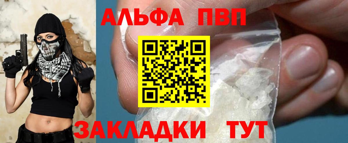 Альфа ПВП СК Сосновоборск