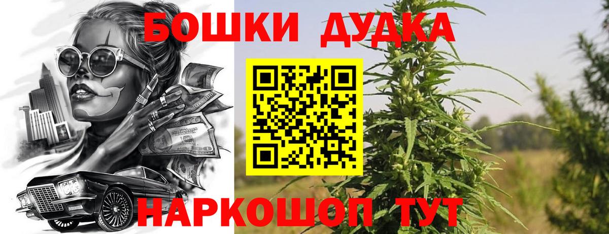 Бошки Шишки планчик Сосновоборск